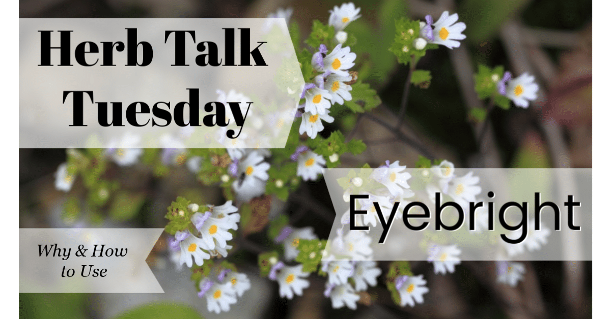 why and how to use eyebright